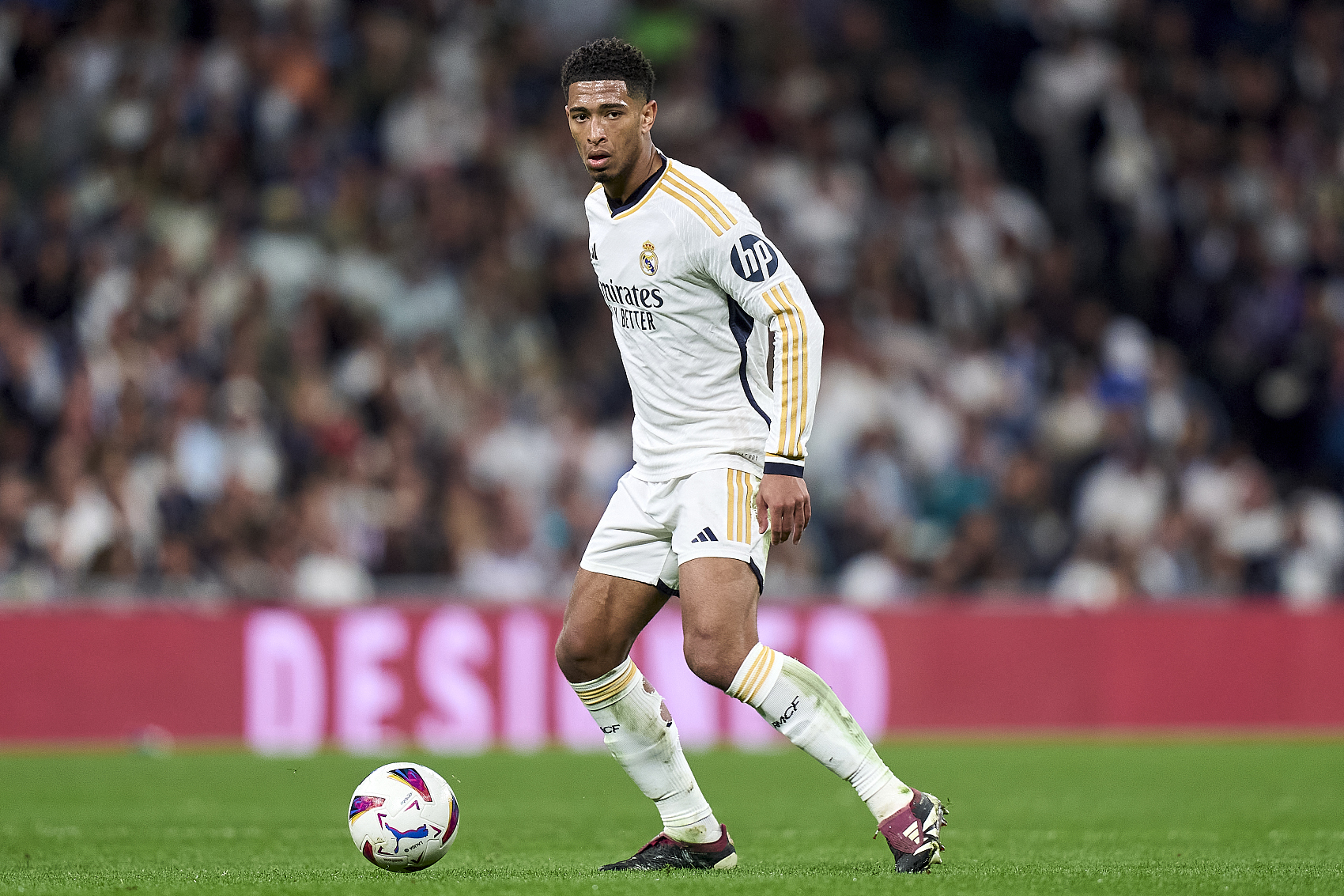 人能力的体 人能力的体